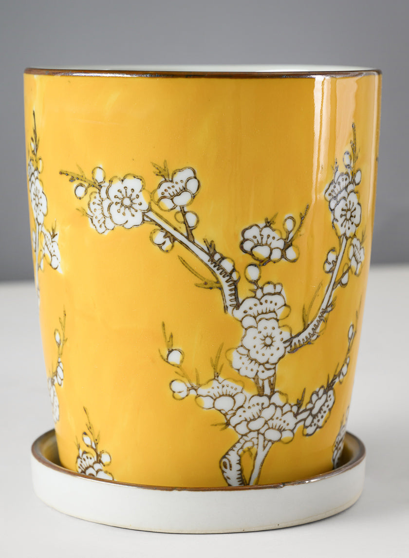 6in Tall Saffron Ceramic Pot with Saucer - Image 3