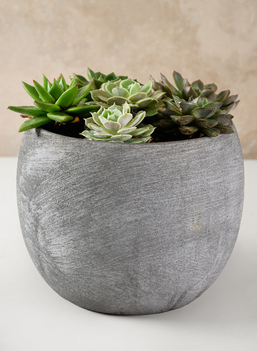 Venetian Grey Ceramic Pot - Image 3