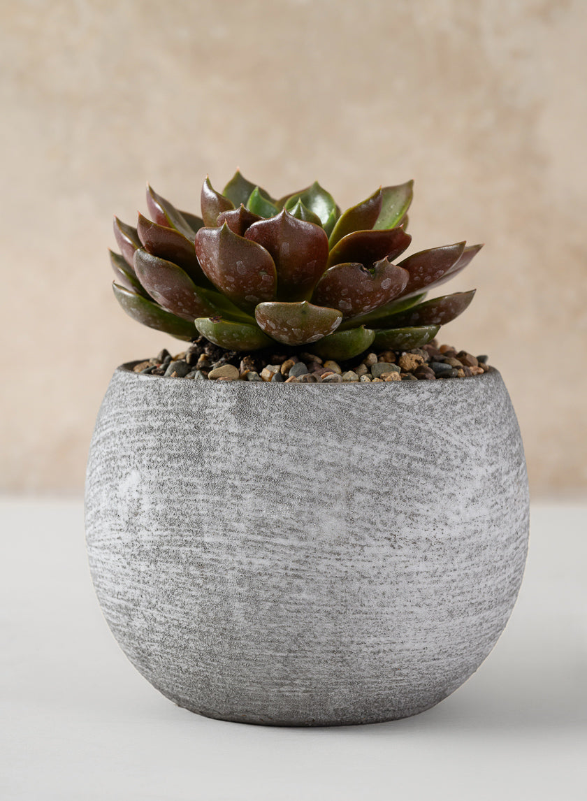 Venetian Grey Ceramic Pot - Image 5