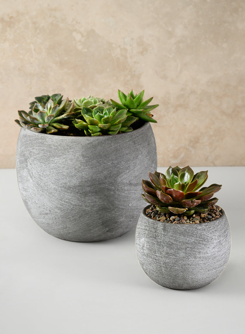 Venetian Grey Ceramic Pot