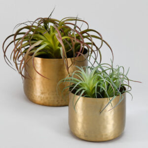 Brass-Look Aluminum Pot
