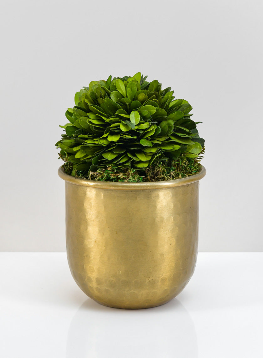 Brass-Look Aluminum Pot - Image 2