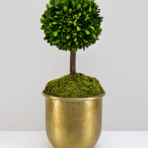 Brass-Look Aluminum Pot