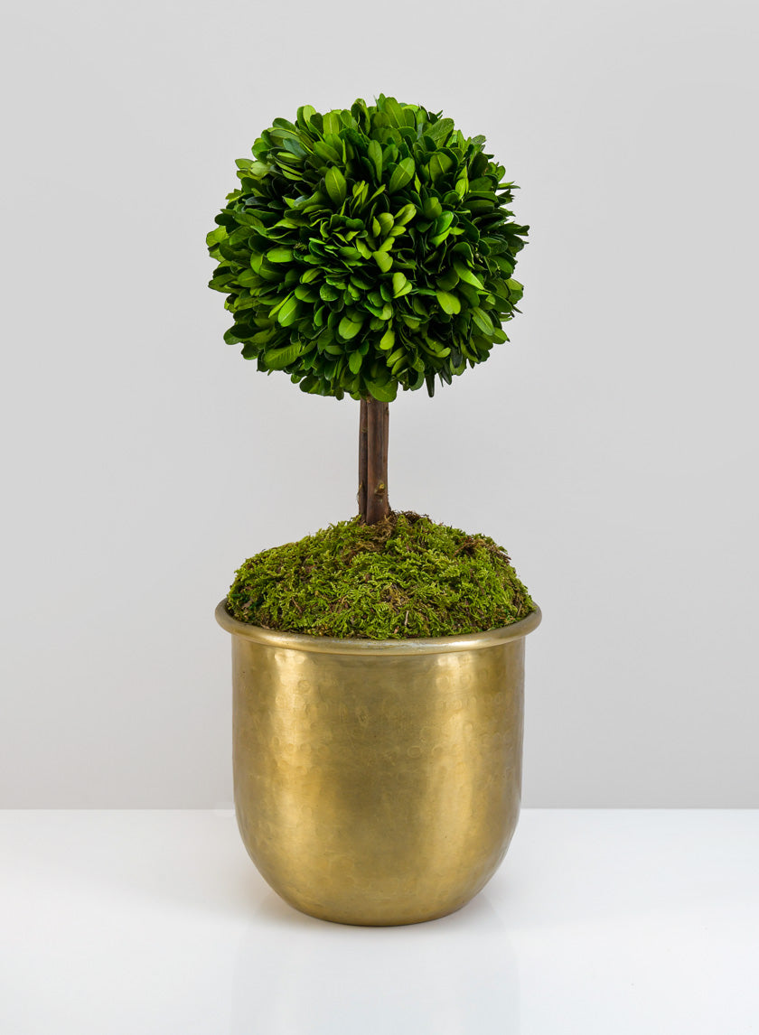 Brass-Look Aluminum Pot