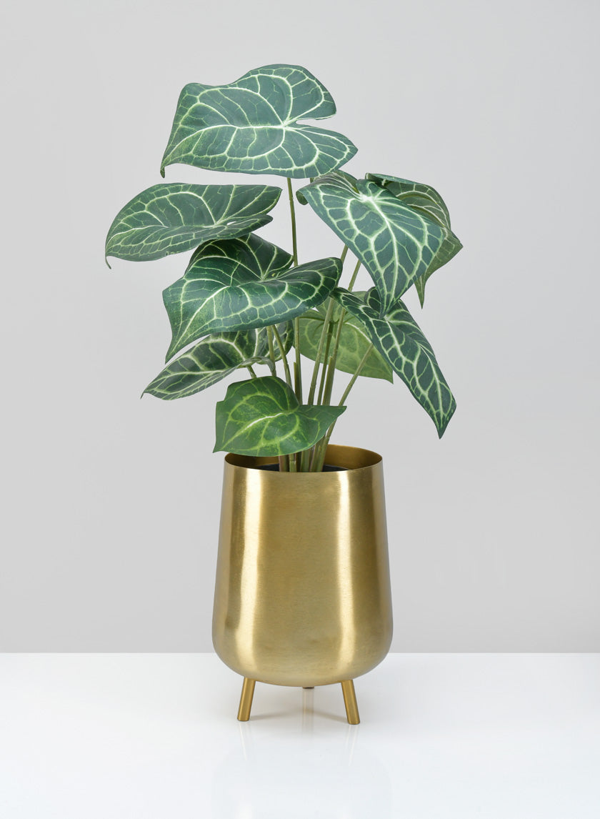 8in Tall Gold Iron Mini Planter with Legs