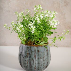 4.5in Tall Grey Glazed Ceramic Cachepot