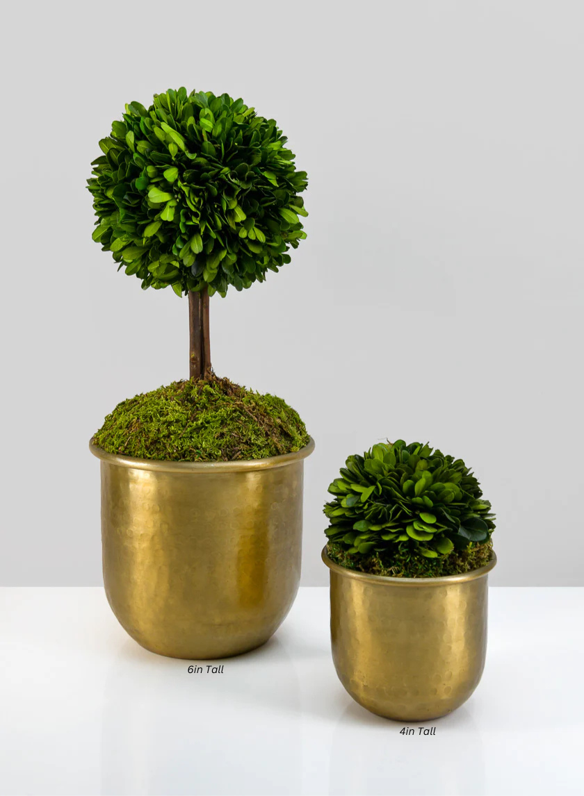 Brass-Look Aluminum Pot - Image 4