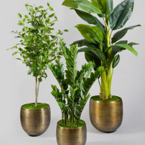Zinc Cachepot Planter