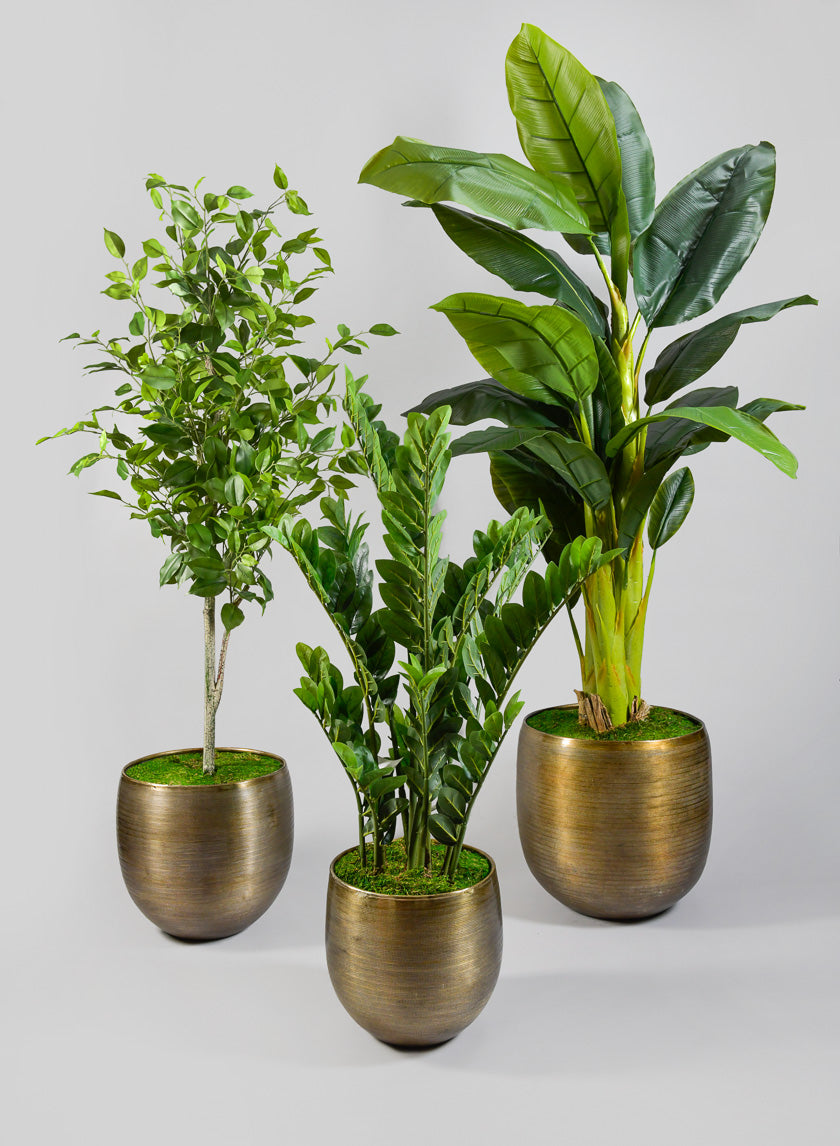 Zinc Cachepot Planter