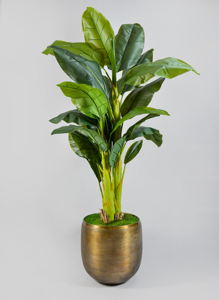 Zinc Cachepot Planter - Image 5