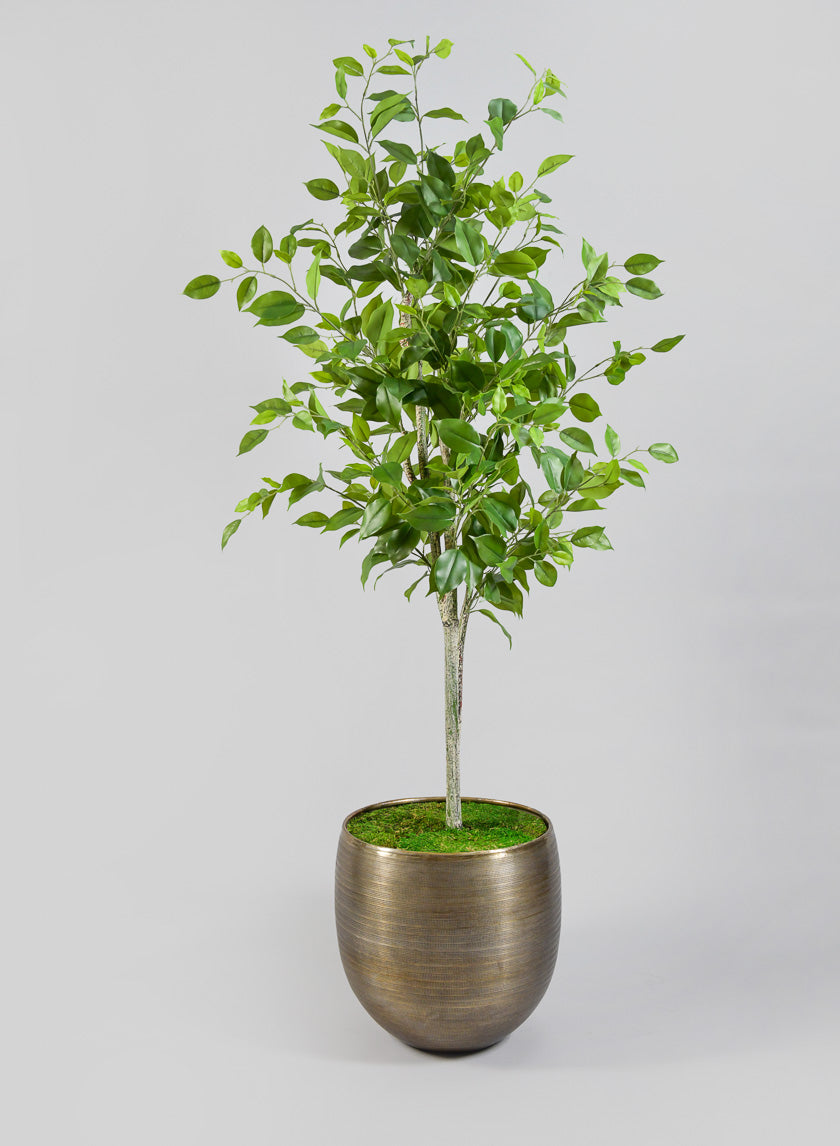 Zinc Cachepot Planter - Image 3