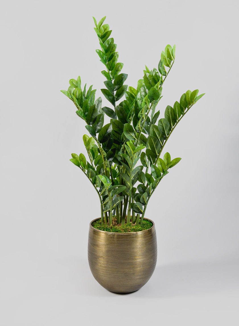 Zinc Cachepot Planter - Image 4