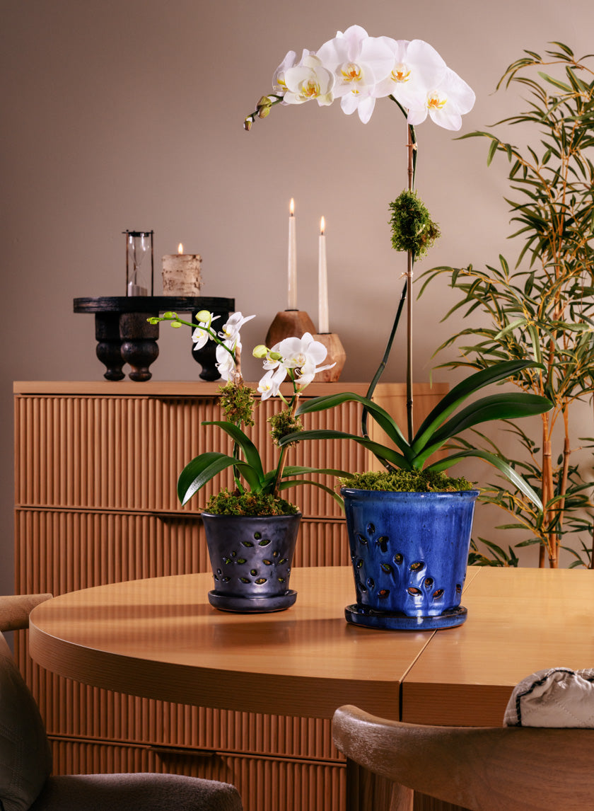 6in Tall Platinum Orchid Ceramic Pot with Saucer - Image 6