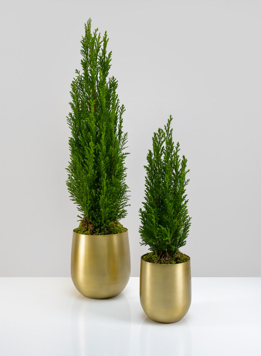 Brass-Look Aluminum Pot