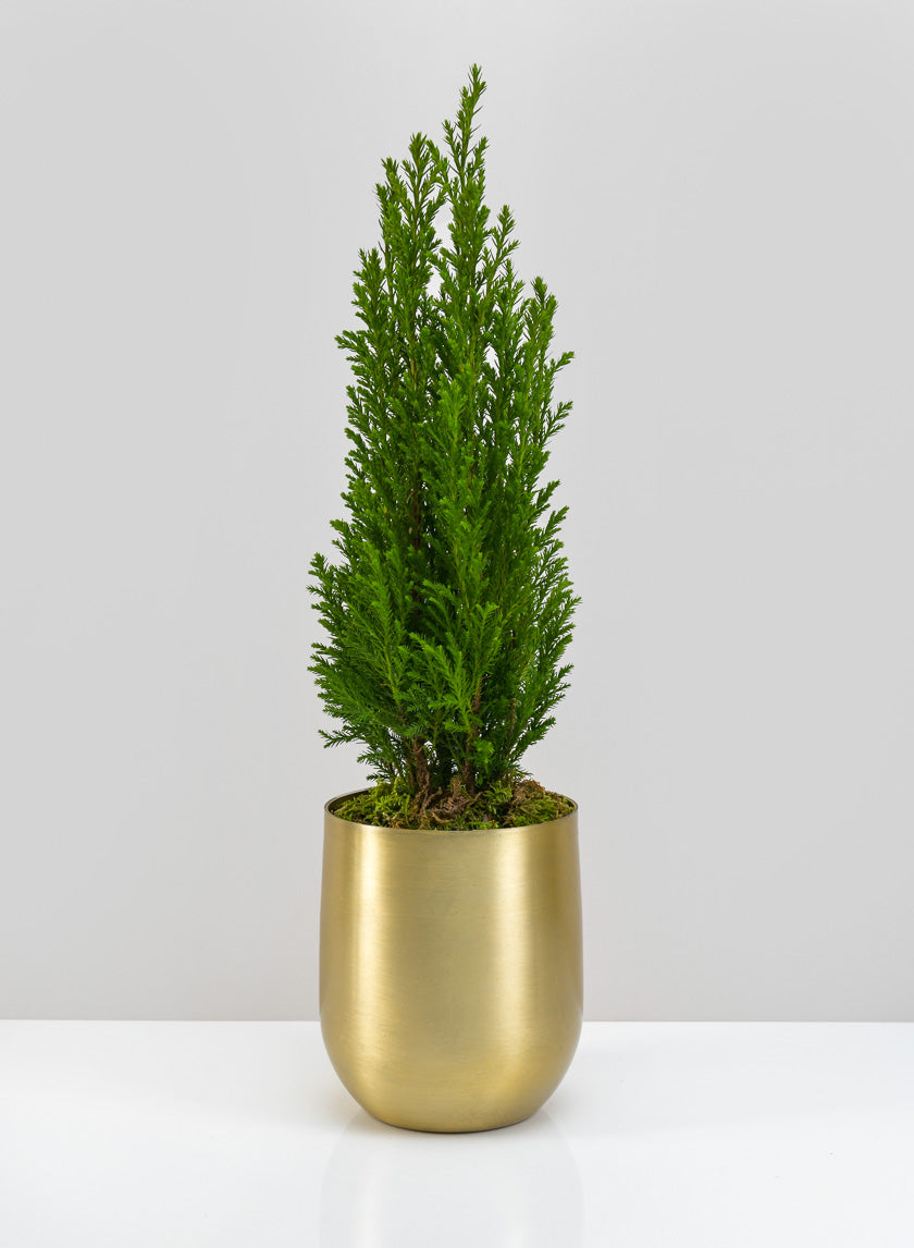 Brass-Look Aluminum Pot - Image 3