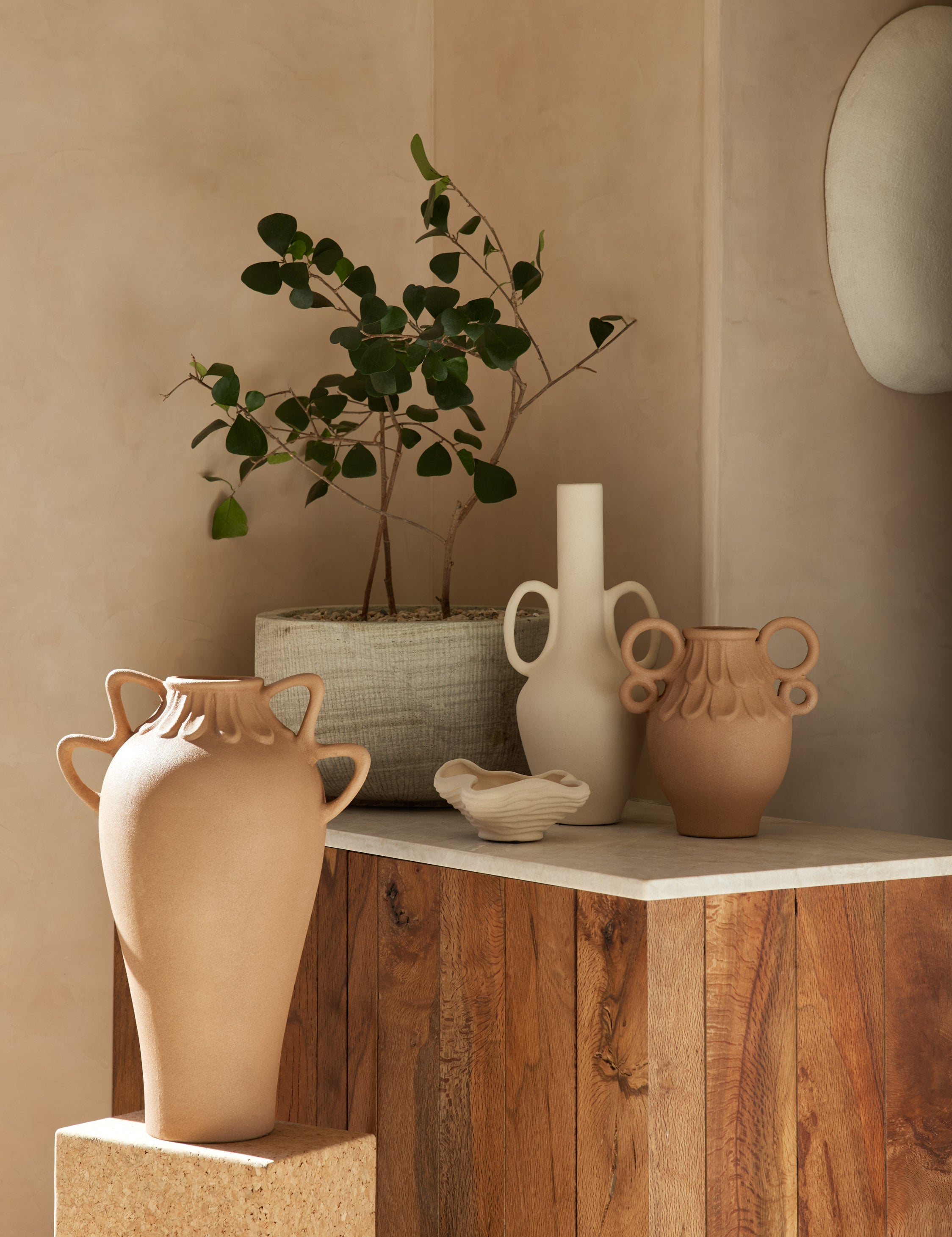 Sculptural Organic Natural Decorative Bowl - CatchallBowl - Image 4