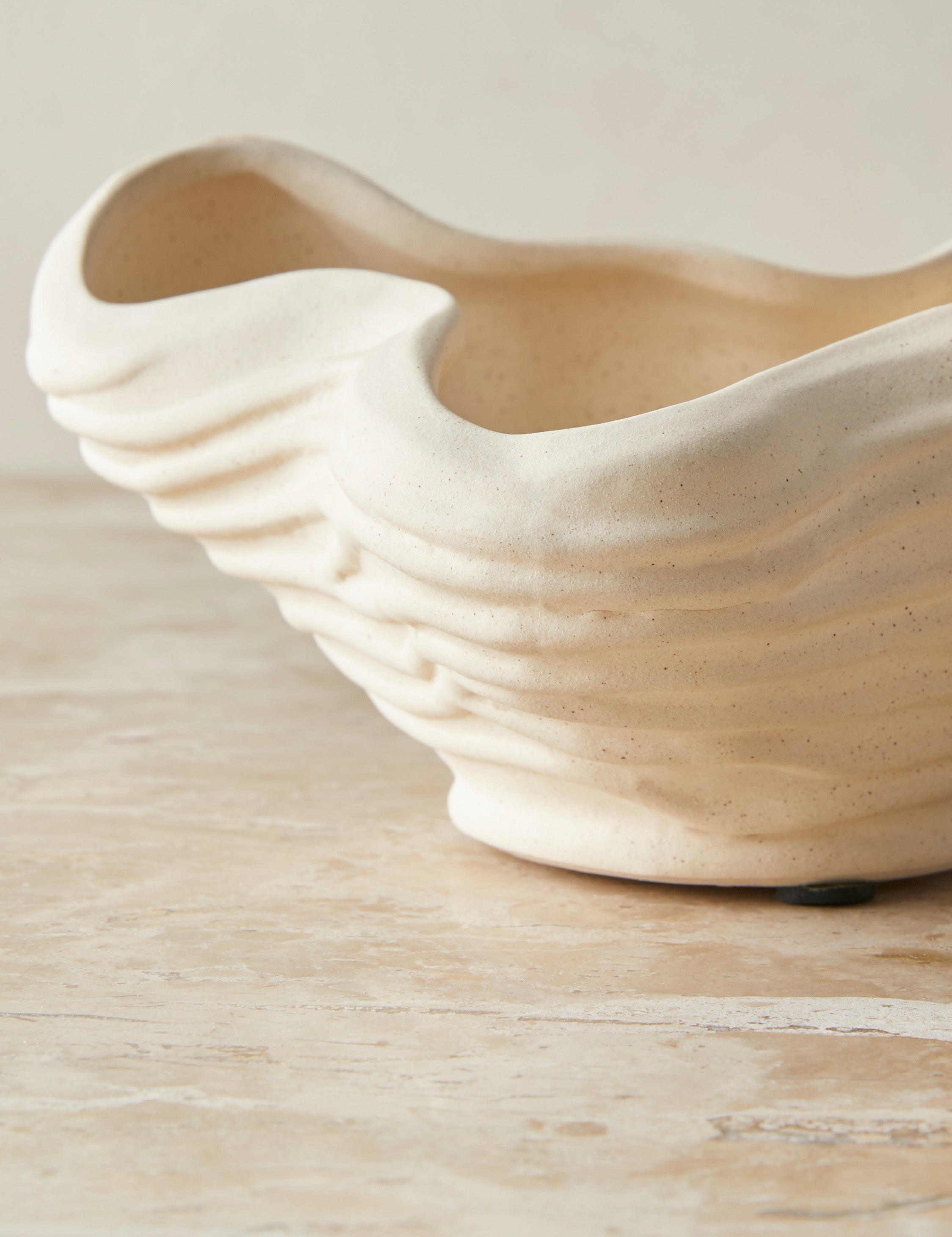 Sculptural Organic Natural Decorative Bowl - CatchallBowl - Image 6