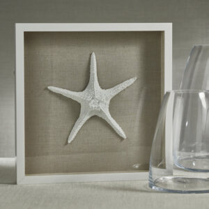 White Framed Starfish Wall Art
