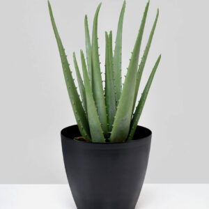 5.5in Tall Black Iron Cachepot Set of 2
