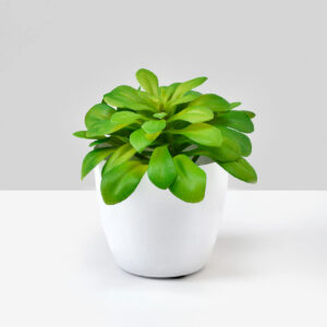 3.5in Tall White Cachepot Set of 4