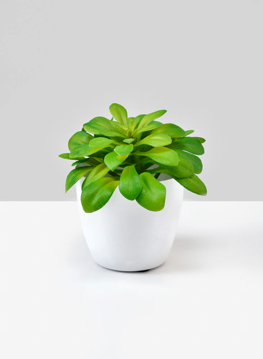 3.5in Tall White Cachepot Set of 4